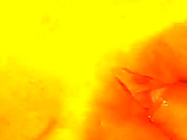 German babe gets her pussy fingered and fucked