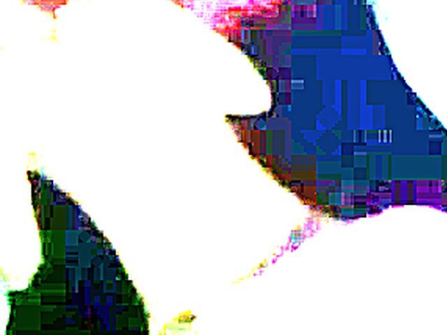 Busty babe gets cum all over her tits