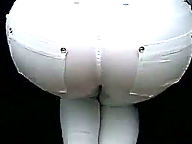 Beautiful girlfriend shows off her great ass 