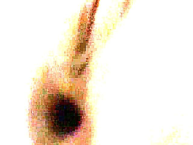 Two babes suck and fuck one lucky guy