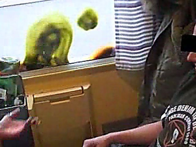 German babes suck on a total strangers cock