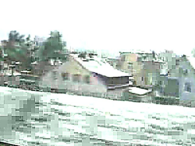 German babes suck on a total strangers cock