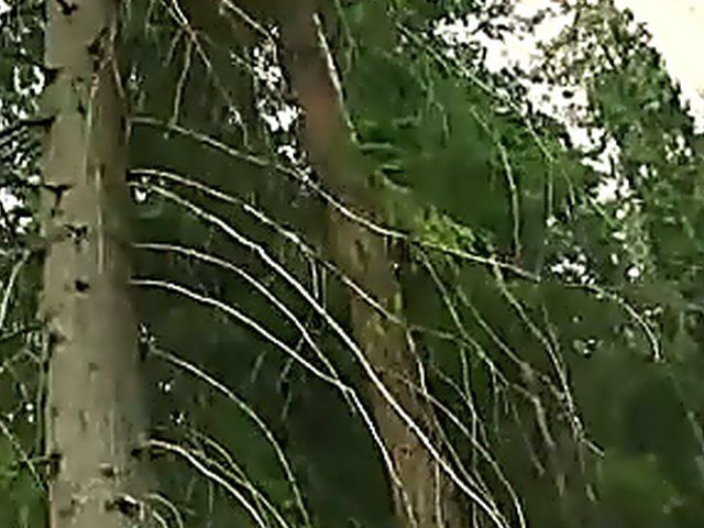 fairy tale goody gets cum on her face