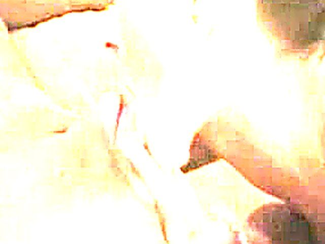 Horny woman fucks a big fat cock