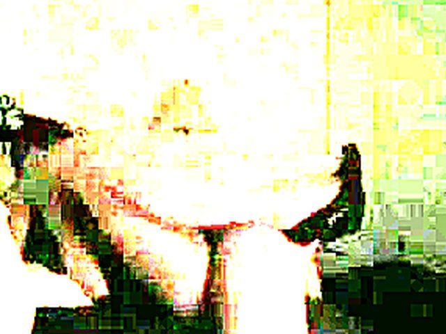 Compilation of cock sucking, and pussy fucking