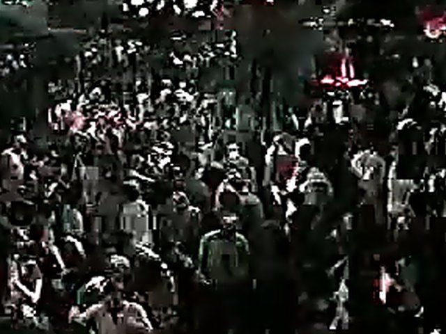 Sexy Latina babes show off their hot bodies