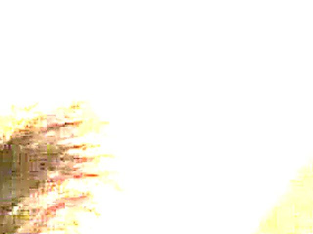 Horny Asian babes get fingered and fucked