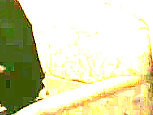 Horny Asian babes get fingered and fucked