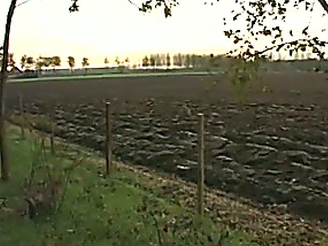 Outdoor anal adventure of a German chick