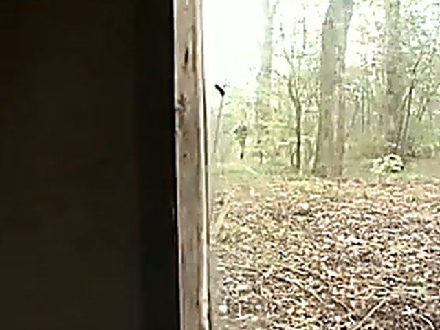 Outdoor anal adventure of a German chick