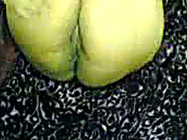 Chubby Arabian bride sucks her husbands fat cock