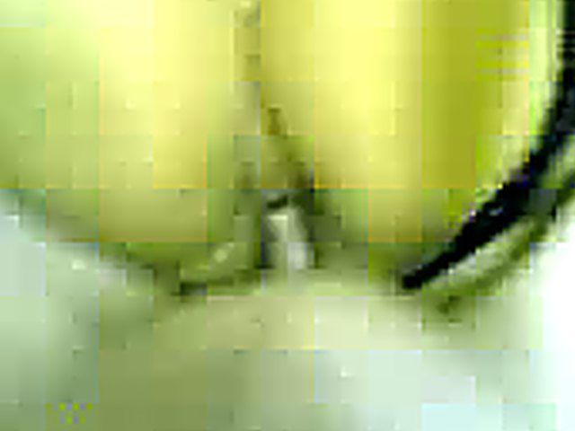 Chubby Arabian bride sucks her husbands fat cock