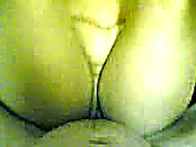 Chubby Arabian bride sucks her husbands fat cock