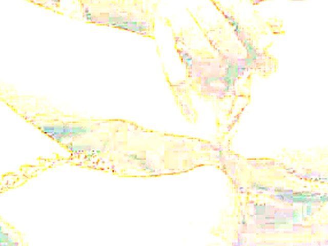 Tattooed slut gets fingered, licked and fucked