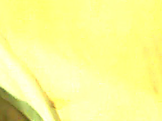 Tattooed slut gets fingered, licked and fucked