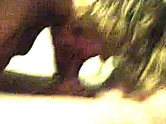 Wife sucks a dick in different positions