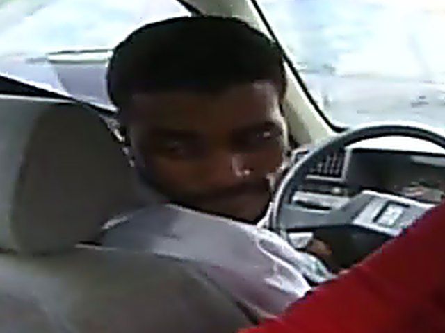 Horny ladies getting fucked, and sucking cock