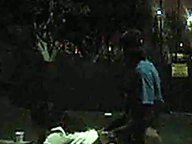 Couple fucking in public get caught by fireman