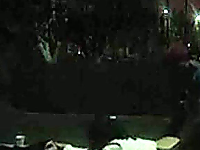 Couple fucking in public get caught by fireman