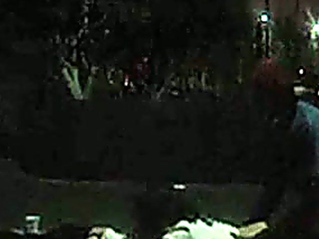 Couple fucking in public get caught by fireman