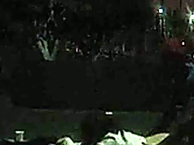 Couple fucking in public get caught by fireman