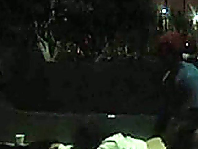 Couple fucking in public get caught by fireman