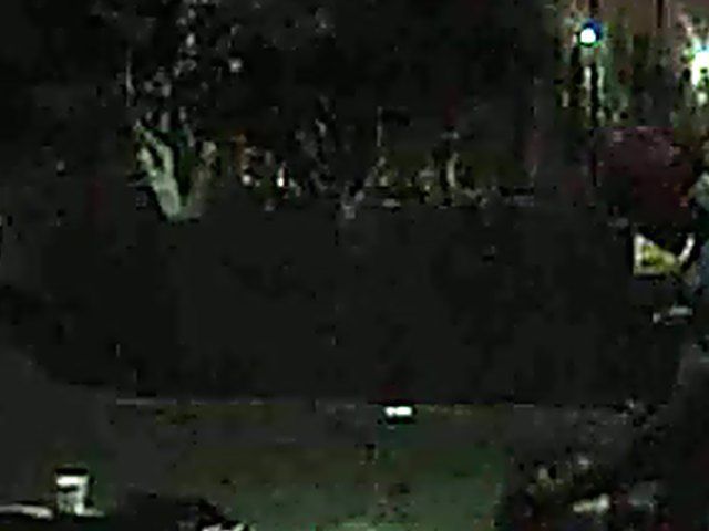 Couple fucking in public get caught by fireman