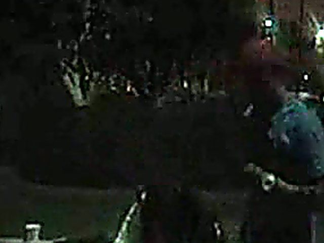 Couple fucking in public get caught by fireman