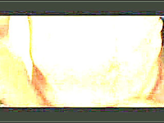 Beautiful babe deep throats a big cock