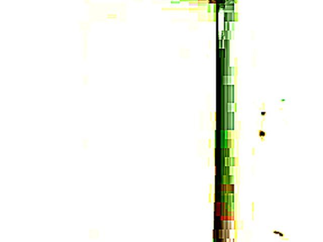 Asian brunette gets her hairy pussy fucked hard