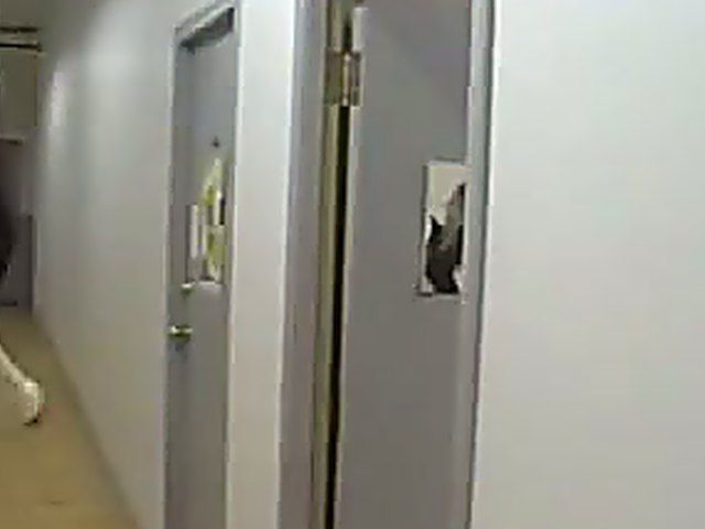 Asian brunette gets her hairy pussy fucked hard