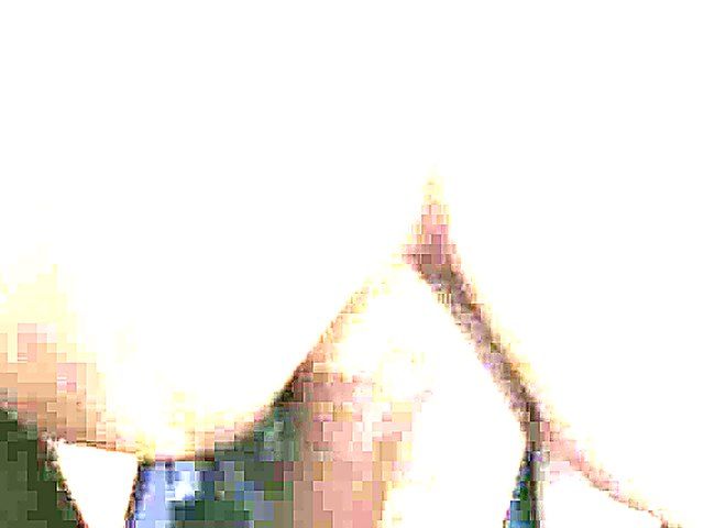 German babe spreads her legs and gets fucked