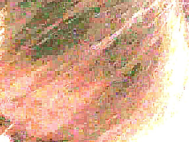 German babe spreads her legs and gets fucked