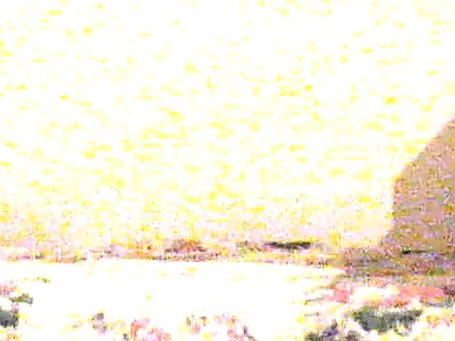 Horny slut gets her ass sprayed with cum