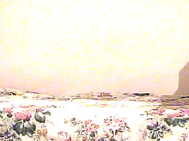 Horny slut gets her ass sprayed with cum