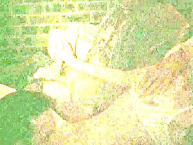 Girls just love big cocks at a party