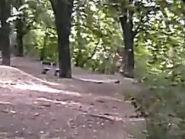 Sexy brunette walks the streets with nothing on