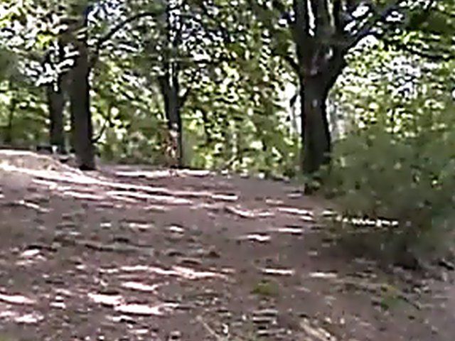 Sexy brunette walks the streets with nothing on