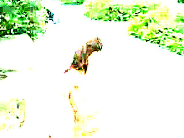 Sexy brunette walks the streets with nothing on