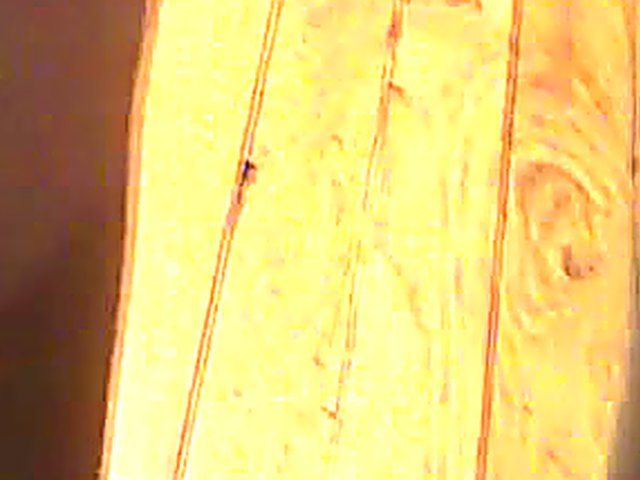 French chick gets fucked by horny Arab guy