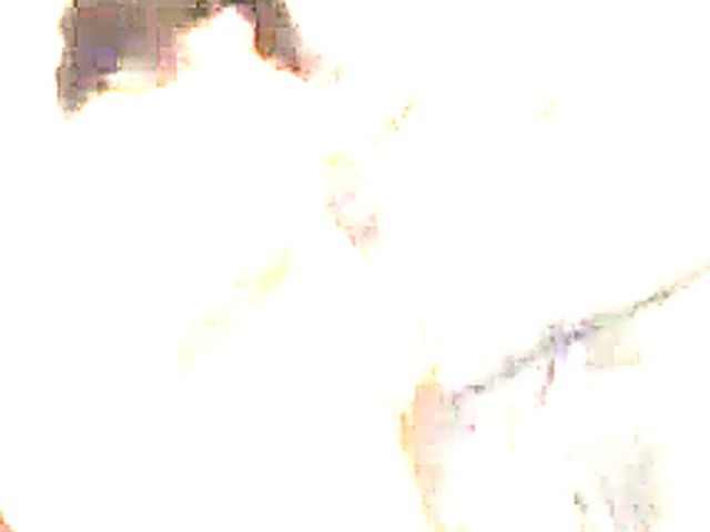 Gorgeous babe sucks cock, and gets fucked