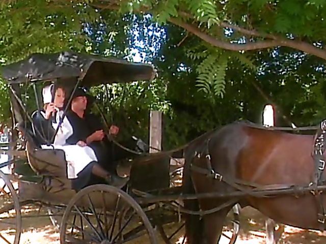 Vintage maid has sex with a coachman in the forest