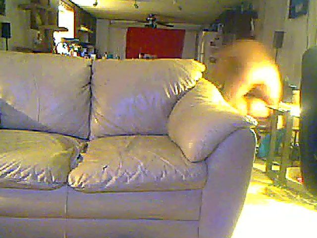 Bisexual threesome with plenty of cock play