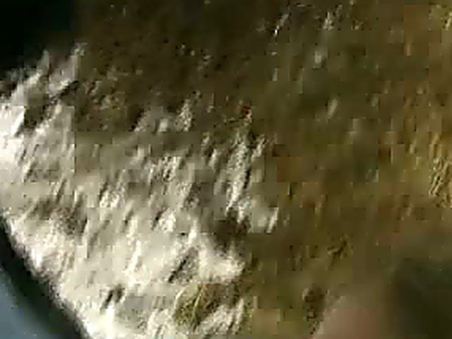 Sexy blonde sucks, and fucks a big dick