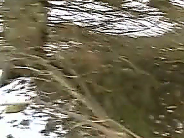 Sexy blonde sucks, and fucks a big dick