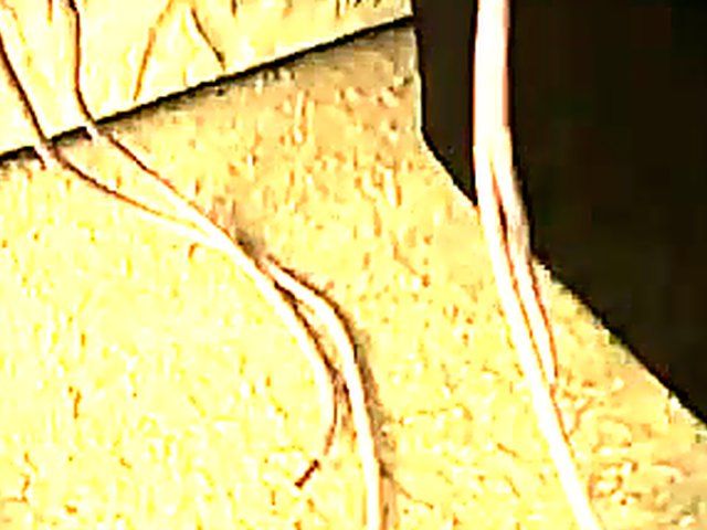 Pretty blonde gets her pussy and asshole ravished