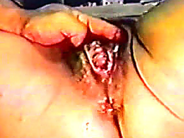 Lots of wet pussies getting fingered and fucked