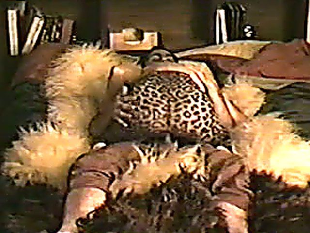 Wife gets caught on camera fucking her lover