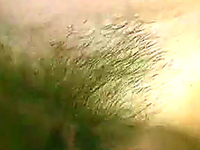 Amateur wife gets fucked by two horny men