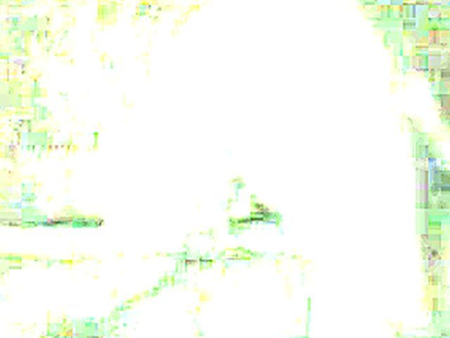 Sexy wife gets fucked by a black cock